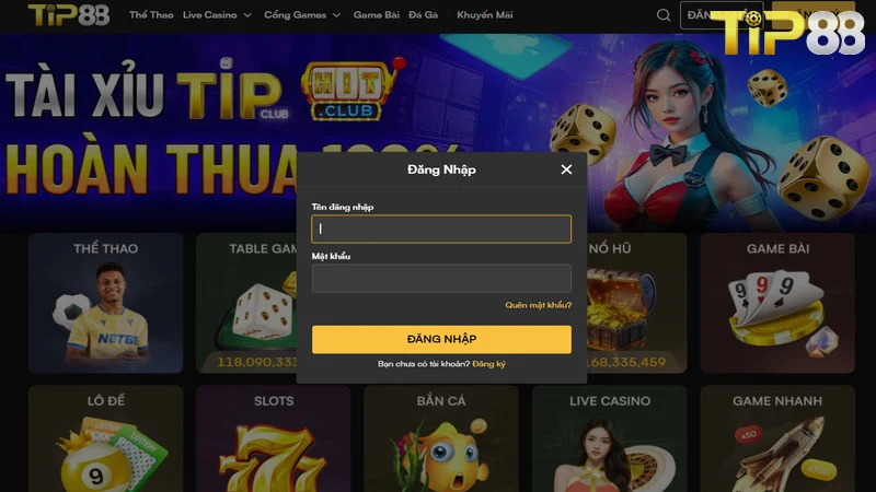 Người chơi điền đủ thông tin theo đúng yêu cầu của form