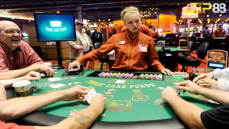 Kinh nghiệm hoạt động trong ngành cá cược của Bryan Dũng